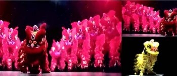 瑞獅報(bào)喜